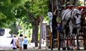 ISTANBUL PRINCES ISLANDS