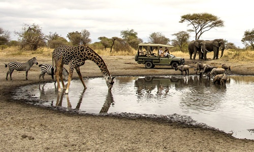 Etkileyici Tanzanya Lodge Safari Turu