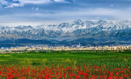Kazakistan Almati Turu