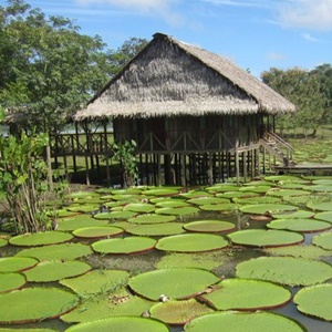 Kolombiya Amazonas