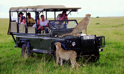 Afrika Safari Turu Kurban Bayram