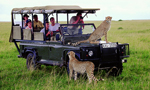 Afrika Safari Turu Kurban Bayram�