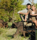 Afrika Safari Turlar