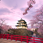 Sakura Japonya