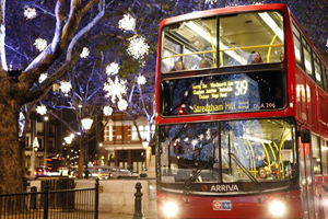 Londra Christmas Turu