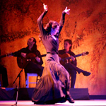 Latin Dans ve Flamenko