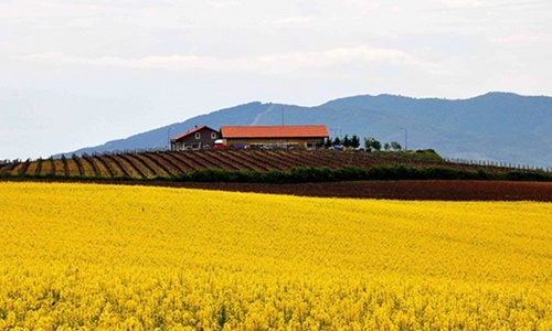 Istanbul Tekirdag Gallipoli Bozcaada Wine Tour