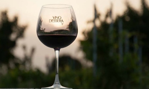 Vino Dessera Vineyards