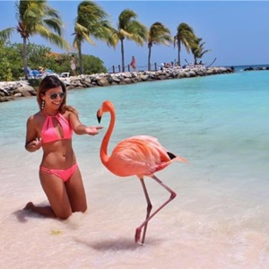 Aruba Hollanda Antilleri