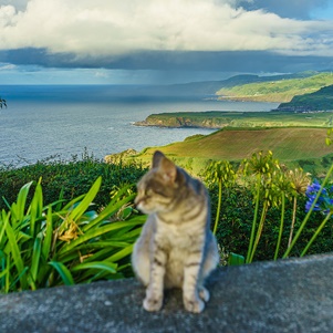 Azores Adalar Turu