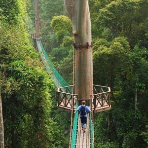 Borneo Adas Turlar