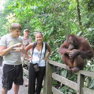 Borneo Adas Turu Spilok Orangutan