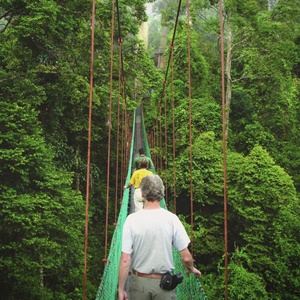 Borneo Adas Turu