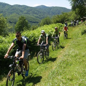 Pamporovo Tatili Turlar