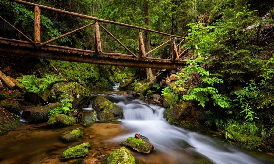 Pamporovo Turları