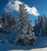 Uludag Hotels