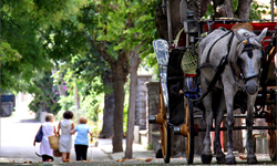 Istanbul Princes Islands Tour