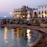 Gallipoli Trips