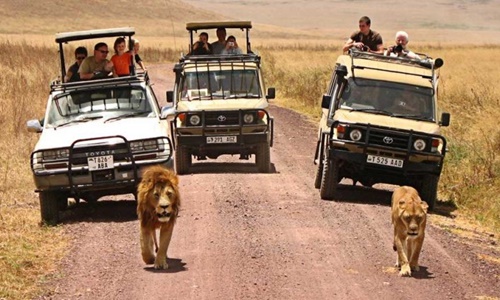 Tanzanya Lodge Safari Turu