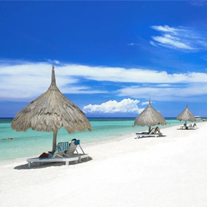 Bohol Adas Turlar