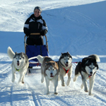 Finlandiya Lapland Husky Turu