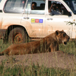 Gney Afrika Turistik Turlar