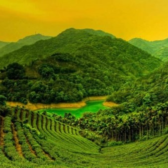 Kerala Otelleri
