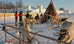 Helsinki Turu