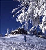 Bansko Kayak Turu