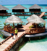 Maldives Honeymoon