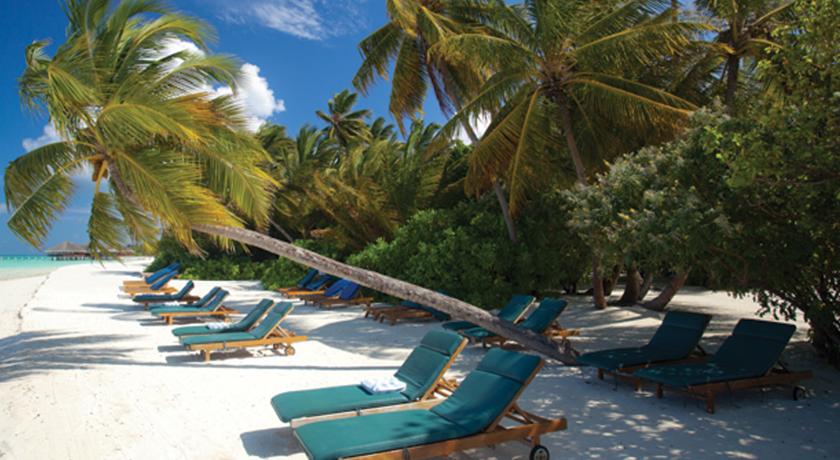 Medhufushi Island Resort Maldivler