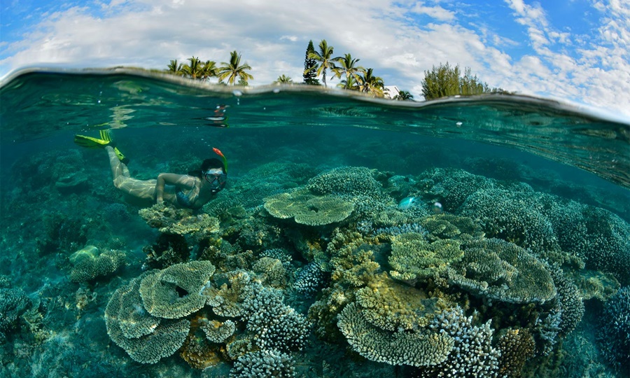 LUX* Le Recif, Reunion