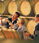 Gourmet Wine Tours