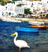 Mykonos Adas Turu