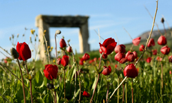 CAPPADOCIA - KONYA PAMUKKALE - APHRODISIAS EPHESUS - IZMIR TOUR