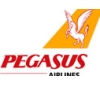 Pegasus