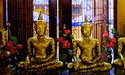 Bangkok Tours