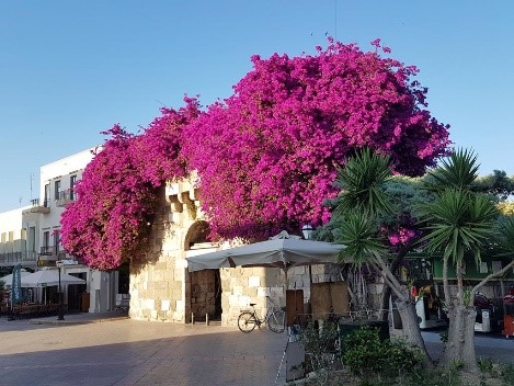 Koala Hotel, Kos Adas, Yunanistan