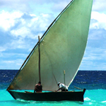 Zanzibar Dal