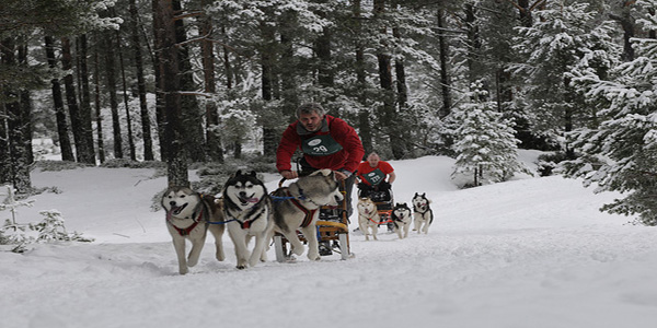 Ylba Finlandiya Turlar