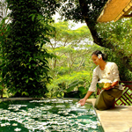 Ubud Balay Paketleri