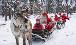 Finlandiya Lapland Ylba Turlar